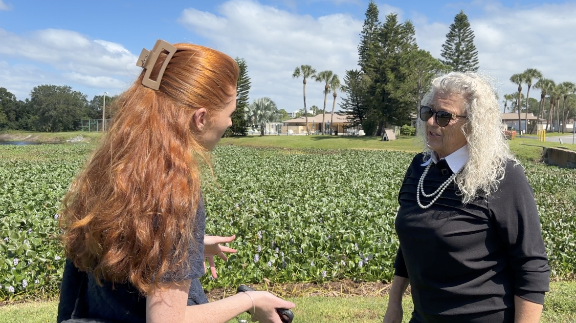 Residents fear future flooding as Largo canal maintenance dispute leaves neighborhood seeking answers — WFTS ABC Action News Tampa, Chicago Real Estate news