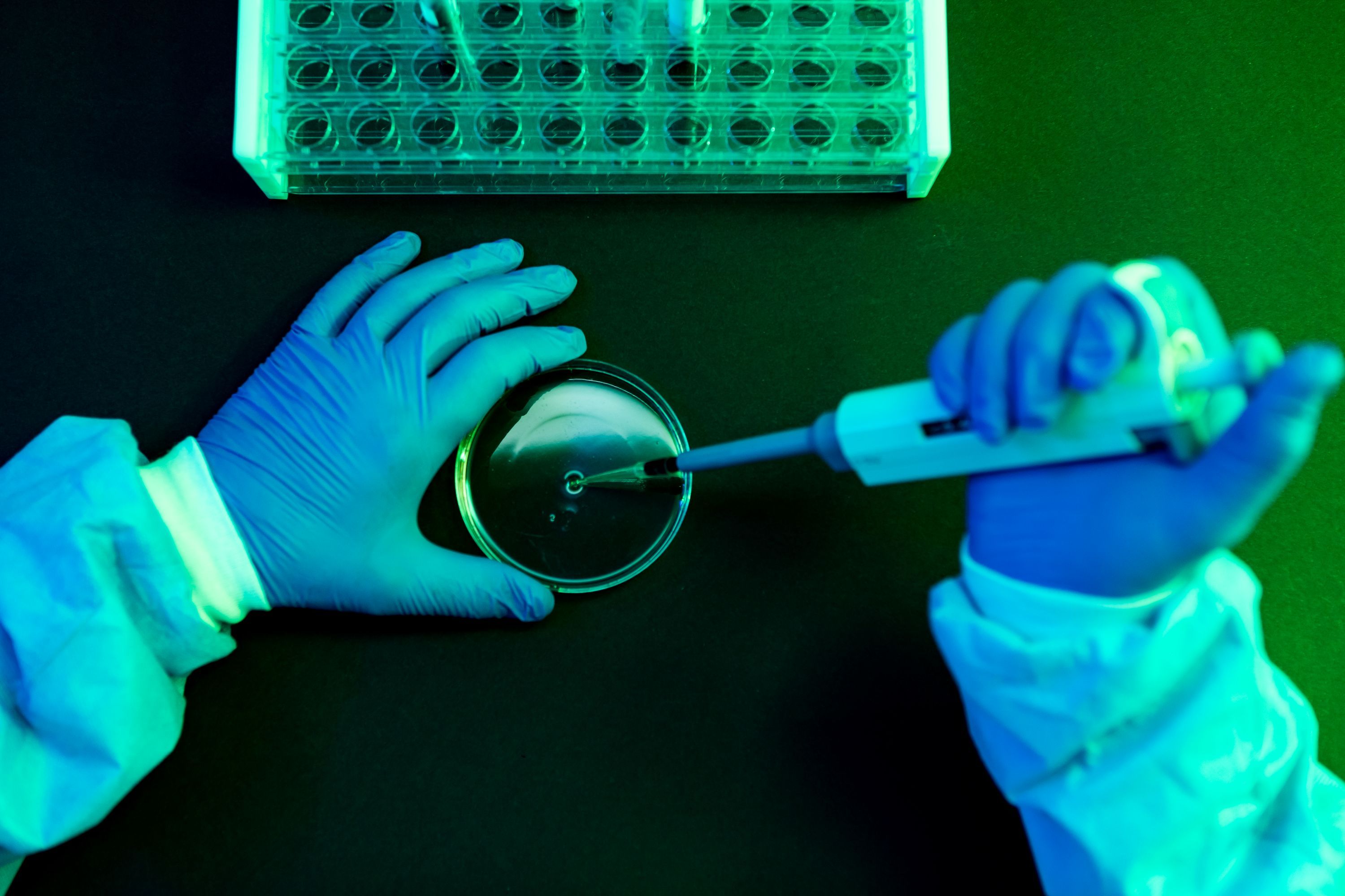 What to Know About Shamonda Virus Following the First Reported Human Infection — Wired, Chicago Technology news